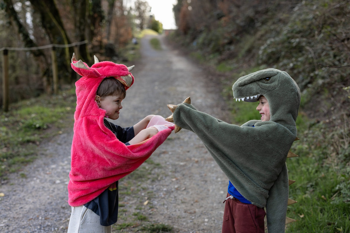 Triceratops Kuschelumhang 3-4 Jahre