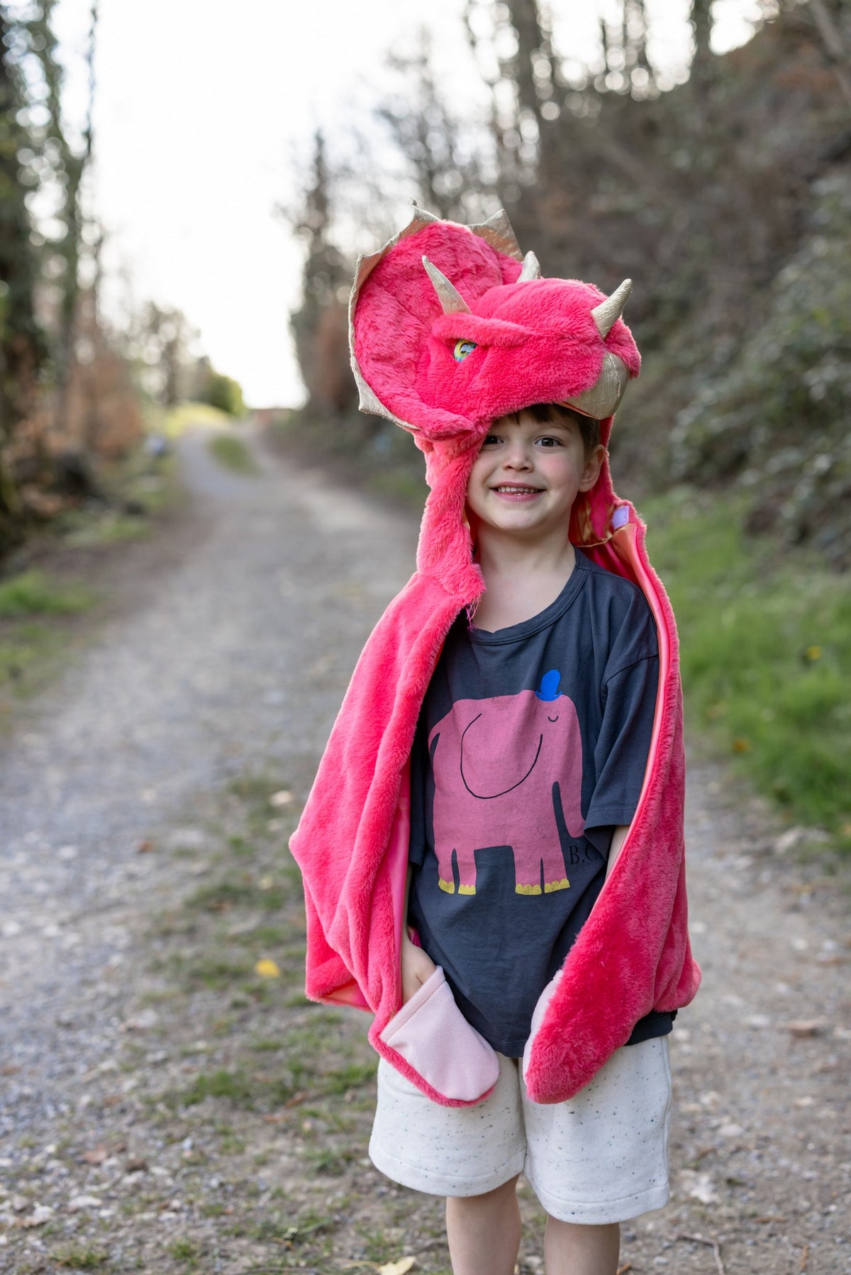 Triceratops Kuschelumhang 3-4 Jahre