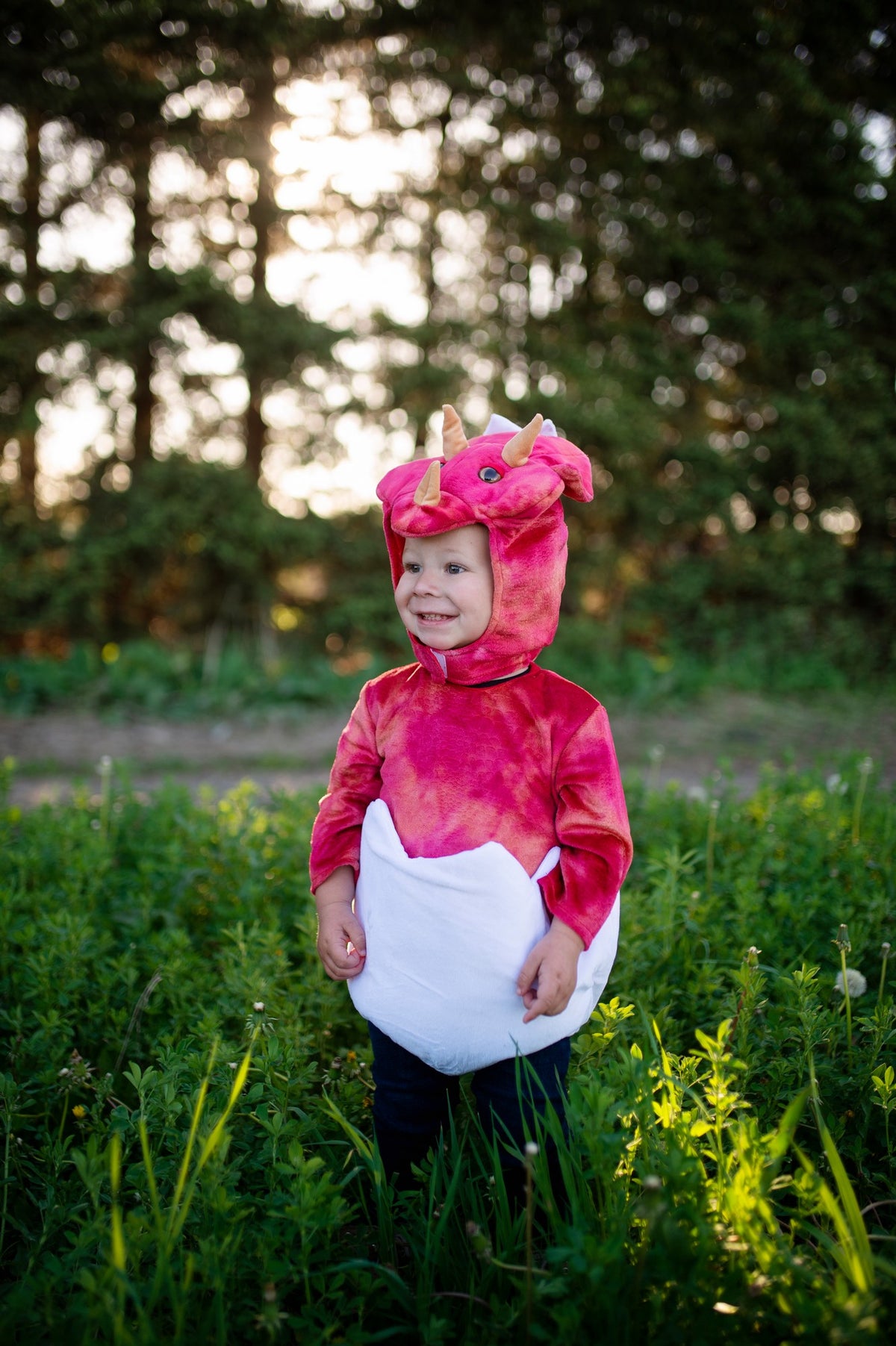 Baby Dino Triceratops Set