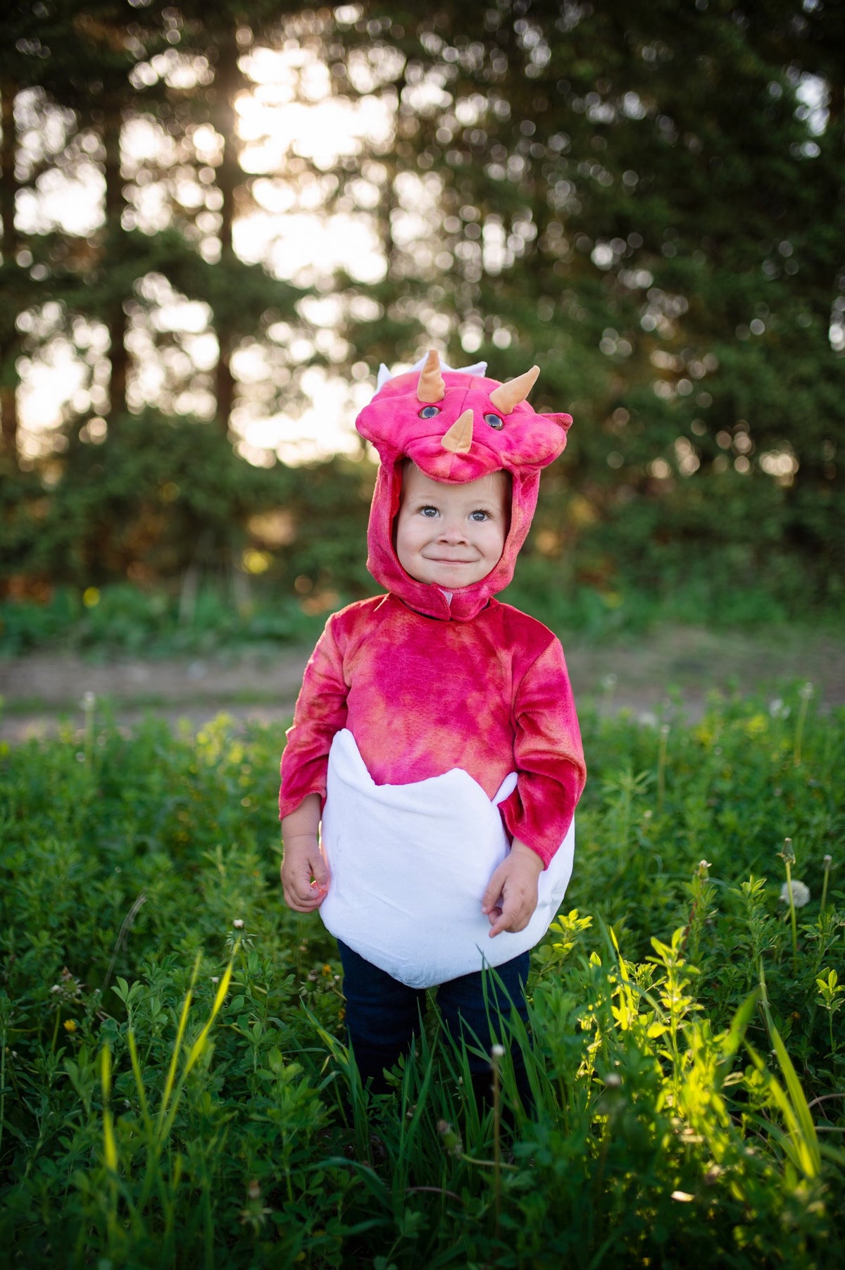 Baby Dino Triceratops Set