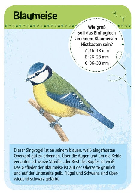 Expedition Natur 50 Heimische Vögel - korbmayer. ganz besonders. für kinder.