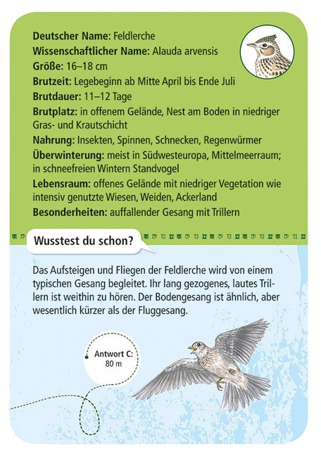 Expedition Natur 50 Heimische Vögel