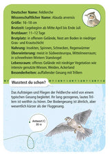 Expedition Natur 50 Heimische Vögel - korbmayer. ganz besonders. für kinder.