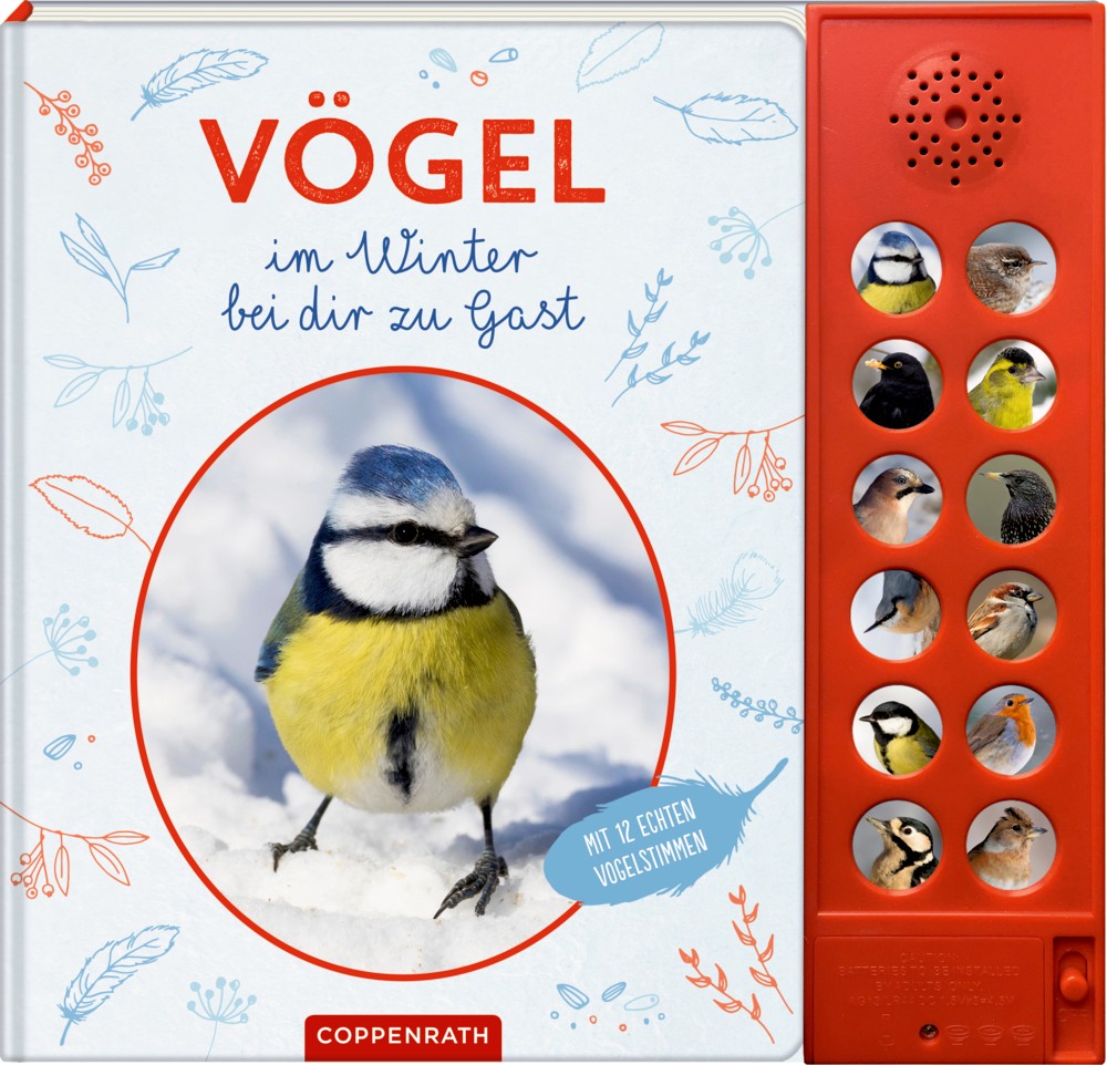 Vögel im Winter