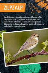 50 Vögel bestimmen - Nature Zoom