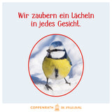Vögel im Winter bei dir zu Gast