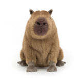 Clyde Capybara WasserschweinJellycatClyde Capybara Wasserschweinkorbmayer. ganz besonders. für kinder.