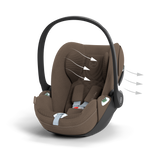 CLOUD T I-SIZE PLUS Coconut Brown | dark brown