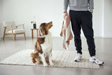 Hundedecke- Ida / Streifen Ahorn