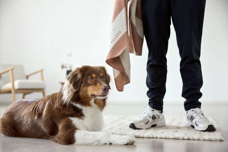 Hundedecke- Ida / Streifen Ahorn