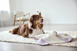 Hundedecke- Ida/ Streifen Lila