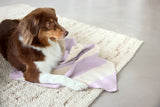 Hundedecke- Ida/ Streifen Lila