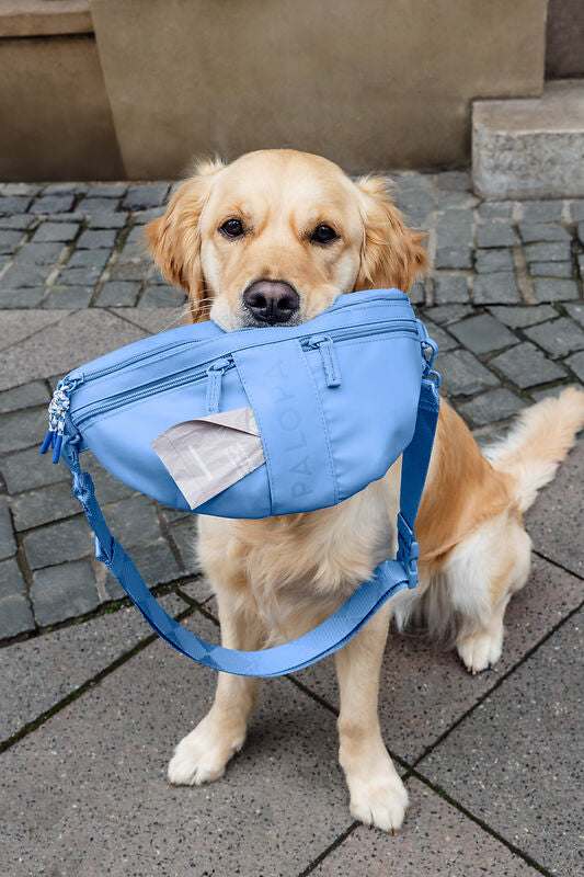Leckerli Tasche Emma/ sky blue