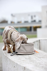 Hundenapf "to go"- Tura/ taupe