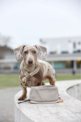 Hundenapf "to go"- Tura/ taupe