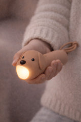 Taschenlampe Hund