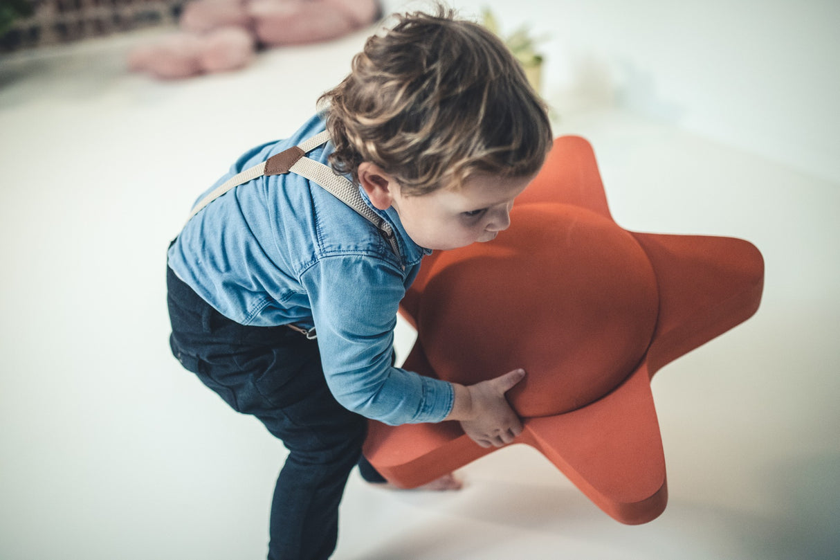 Sea Life Starfish - korbmayer. ganz besonders. für kinder.