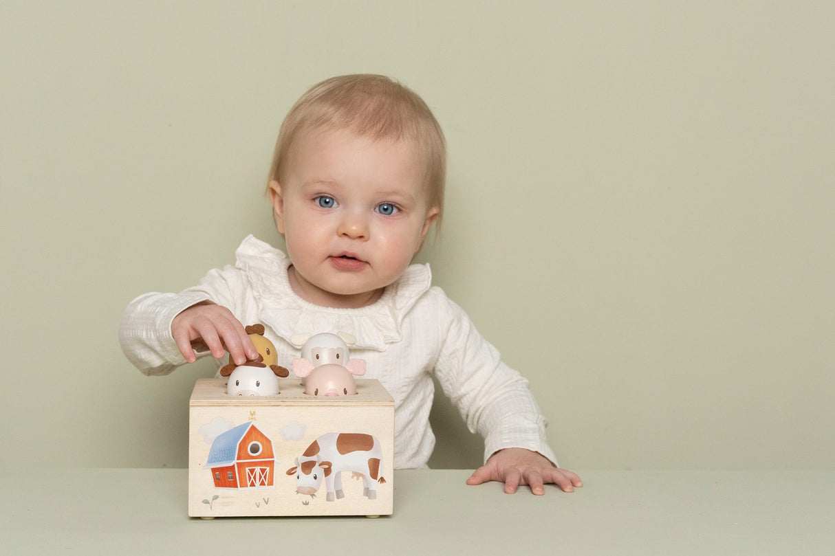 Pop-up-Spielzeug/ Little Farm