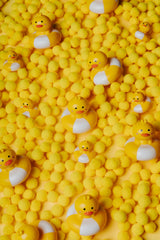 Sensorik Spielzeug - Happy Bubbles Enten