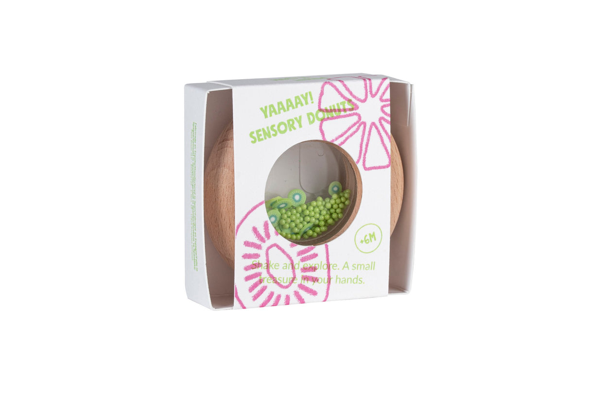 Sensory Donut- Kiwis