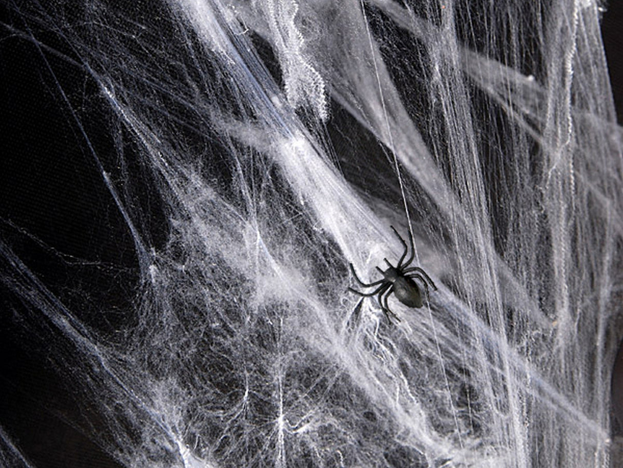 Halloween Spinnennetz