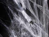 Halloween Spinnennetz