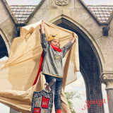 Kostüm King Arthur 3-4 Jahre