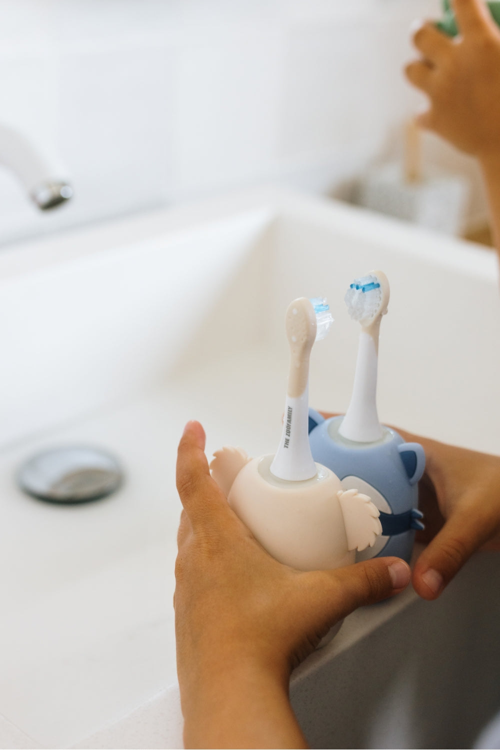 Schallzahnbürste/ Waschbär
