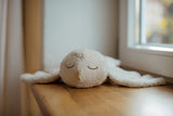 Kuscheltier & Wärmekissen Schneeeule klein