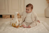 Aktivitätsschmusetier/ Little Goose