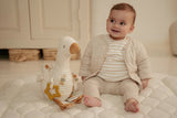 Aktivitätsschmusetier/ Little Goose