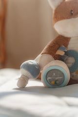 Aktivitäten Fuchs/ Forest Friends