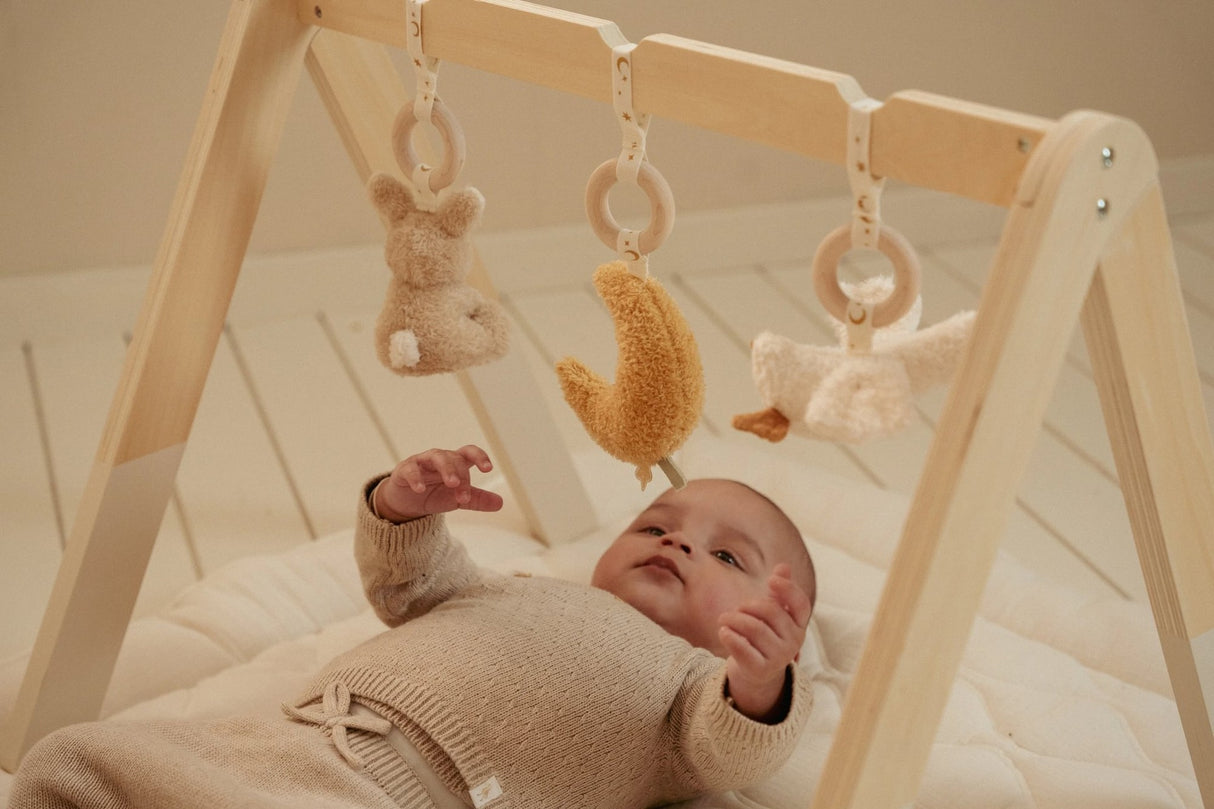 Spieltrapez Newborn Naturals