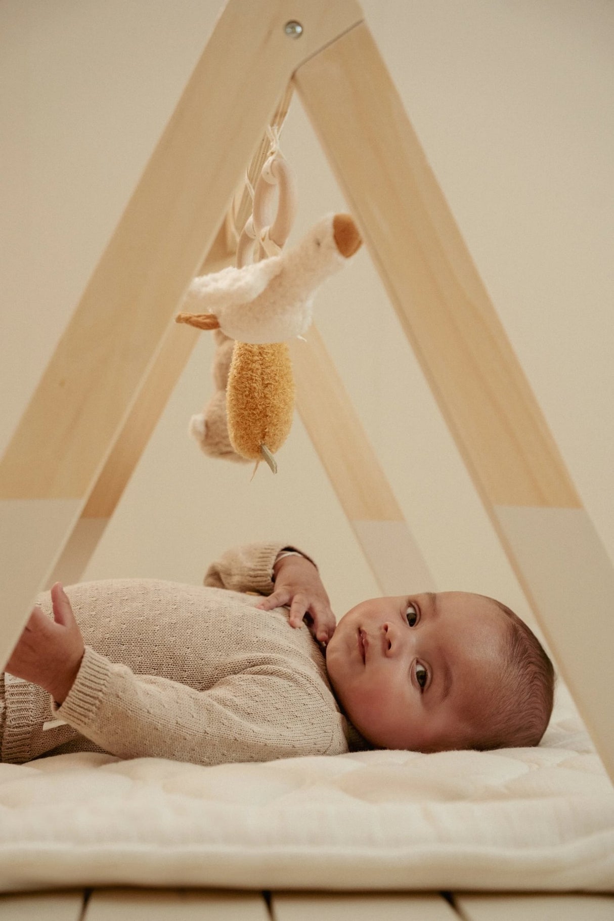 Spieltrapez Newborn Naturals
