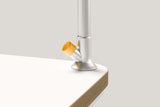 Schreibtischlampe für poptop