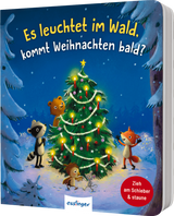Es leuchtet im Wald, kommt Weihnachten bald?