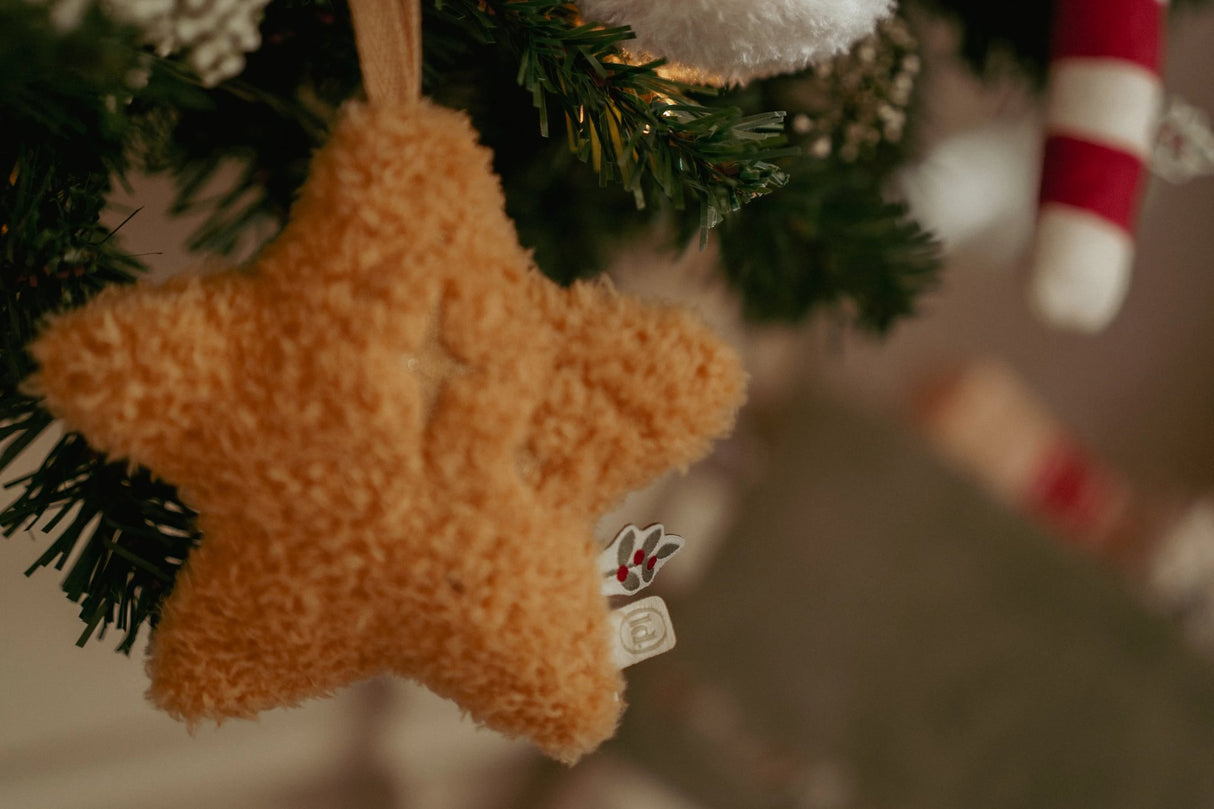 Weihnachtsanhänger Set Jim