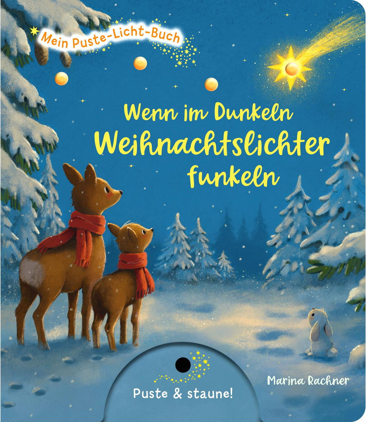 Puste-Licht:Wenn Weihnachtslicht