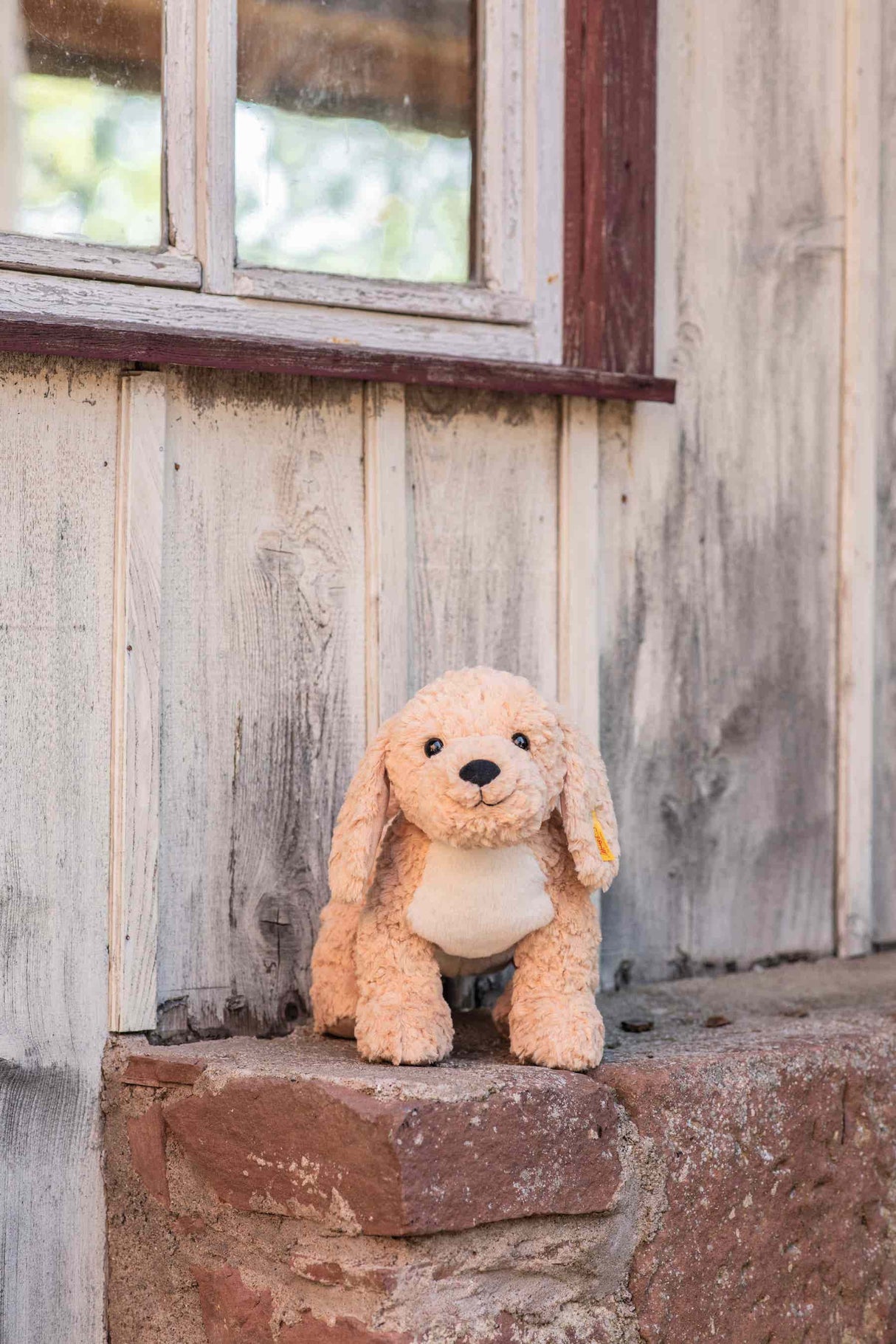 Berno Goldendoodle - korbmayer. ganz besonders. für kinder.