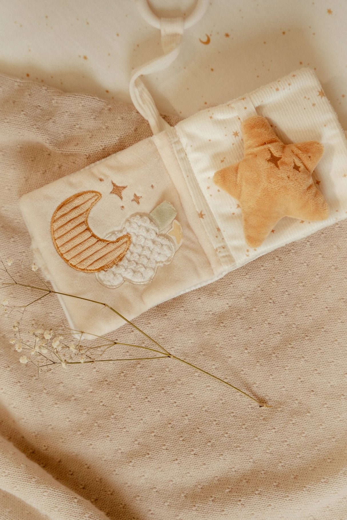 Buggybuch/ Newborn Naturals